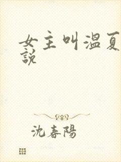 女主叫温夏的小说