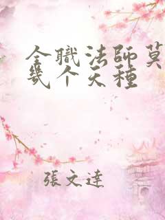 全职法师莫凡有几个天种