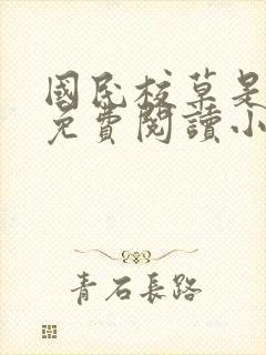 国民校草是女生免费阅读小说