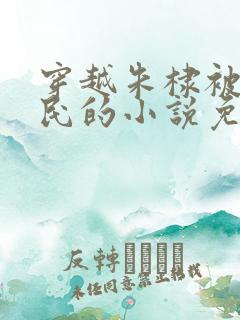 穿越朱棣被贬农民的小说免费阅读