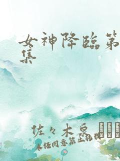 女神降临第12集