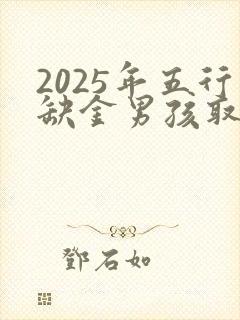 2025年五行缺金男孩取名字