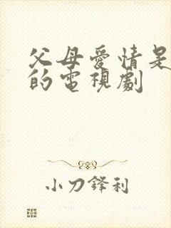 父母爱情是哪年的电视剧