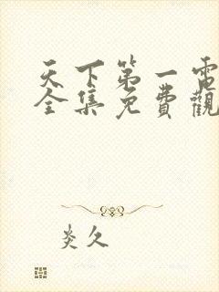 天下第一电视剧全集免费观看高清