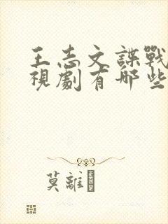 王志文谍战片电视剧有哪些