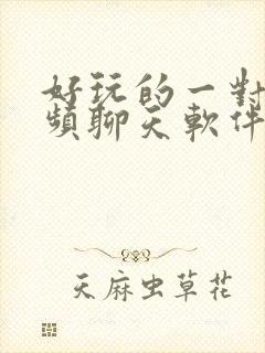 好玩的一对一视频聊天软件