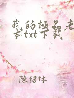 我的极品老婆全本txt下载