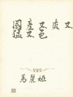 国产又爽又粗又猛又色