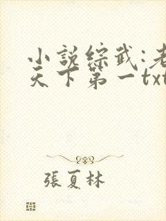 小说综武:老子天下第一txt下载