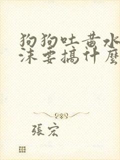 狗狗吐黄水带泡沫要搞什么药