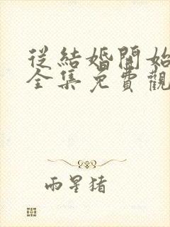 从结婚开始恋爱全集免费观看