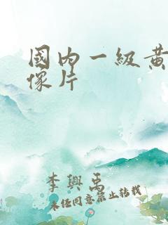 国内一级黄色录像片