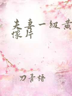 夫妻一级黄色录像片