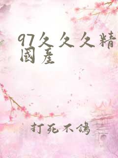 97久久久精品国产