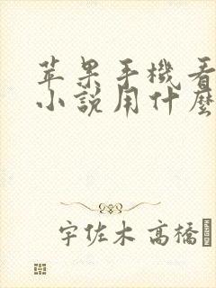 苹果手机看本地小说用什么阅读器好