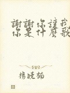 谢谢你让我遇见你是什么歌的歌词