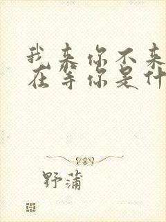 我来你不来我都在等你是什么歌