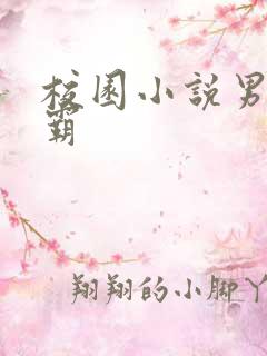 校园小说男主校霸