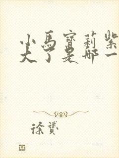 小马宝莉紫悦长大了是哪一集