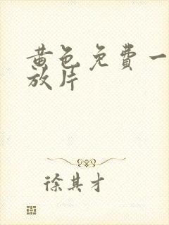 黄色免费一级播放片