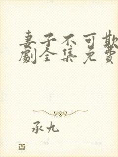 妻子不可欺电视剧全集免费观看