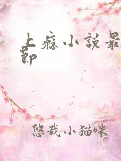 上瘾小说最新章节