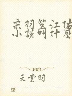 宋羽笙江佑礼的小说叫什么名字