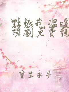 点燃我温暖你电视剧免费观看完整