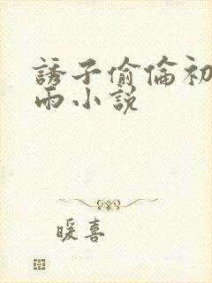诱子偷伦初尝云雨小说