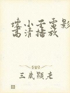 坏小子电影韩剧高清播放