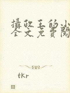 摄政王的小王妃全文免费阅读