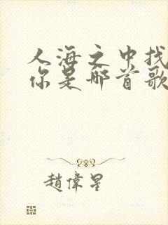 人海之中找到了你是哪首歌的歌词