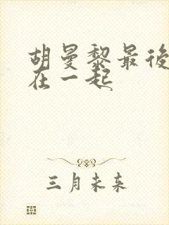 胡曼黎最后和谁在一起