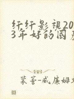 纤纤影视2023年好的国产电视剧