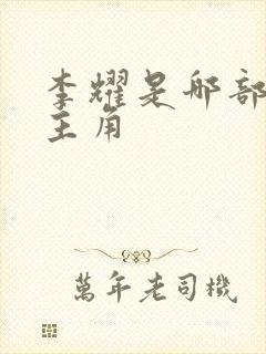 李耀是哪部小说主角