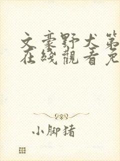 文豪野犬第四季在线观看免费