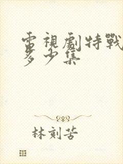 电视剧特战荣耀多少集