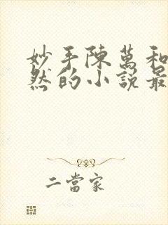 妙手陈万和唐嫣然的小说最新章节