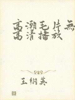 高潮毛片无遮挡高清播放