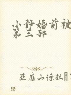 小静婚前被调教第三部