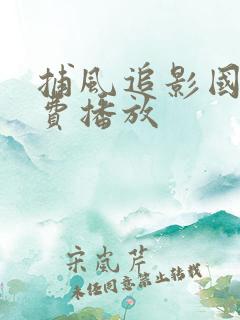 捕风追影国语免费播放