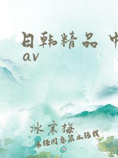 日韩精品 中出 av