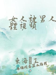 女人被男人插下体视频