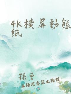4k横屏动态壁纸