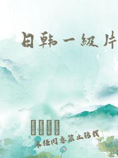 日韩一级片av