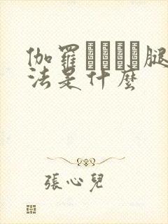伽罗ちゃんが腿法是什么