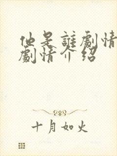 他是谁剧情分集剧情介绍