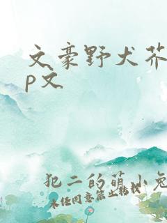 文豪野犬芥敦cp文