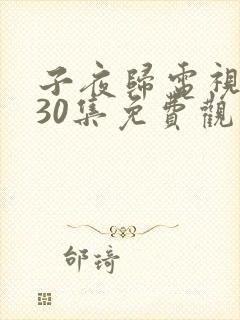 子夜归电视剧第30集免费观看