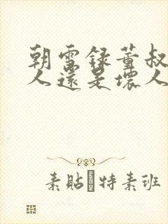 朝雪录董叔是好人还是坏人